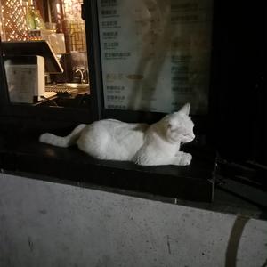 獸交Ⅴideos另类2023年
