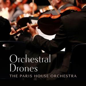 獸交Ⅴideos另类2023年
